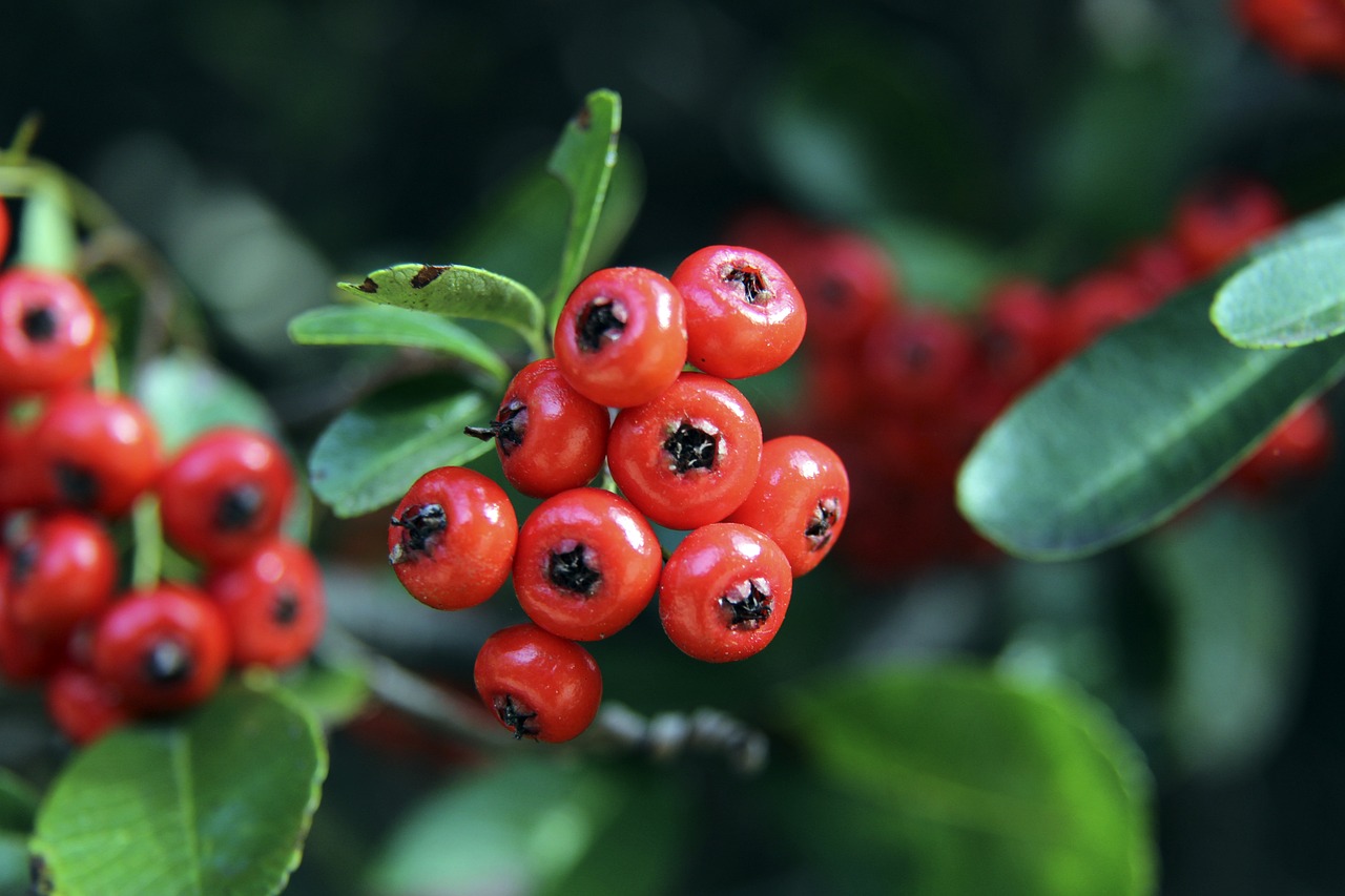 本文将为您 本文将为您