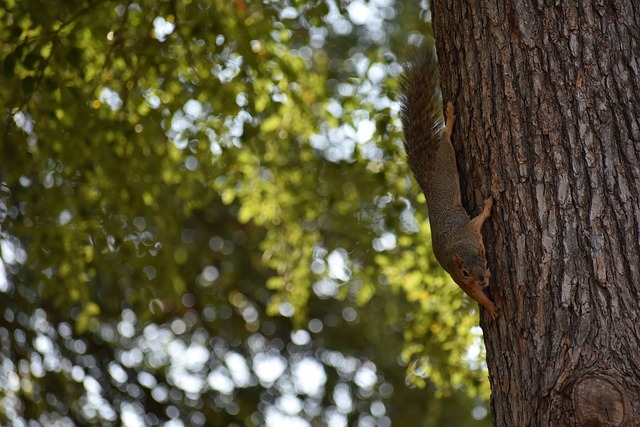 赛的情况 赛的情况