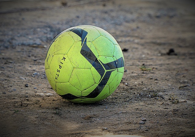 了现场观众 了现场观众