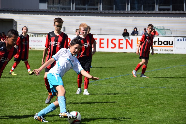 场专家的分 场专家的分