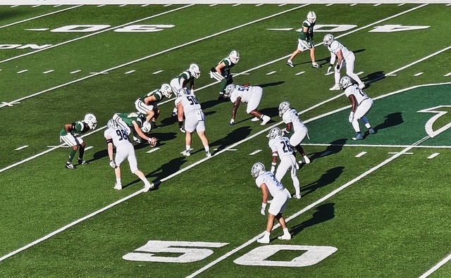 资质的保姆 资质的保姆