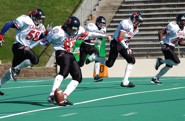 经济因素为 经济因素为