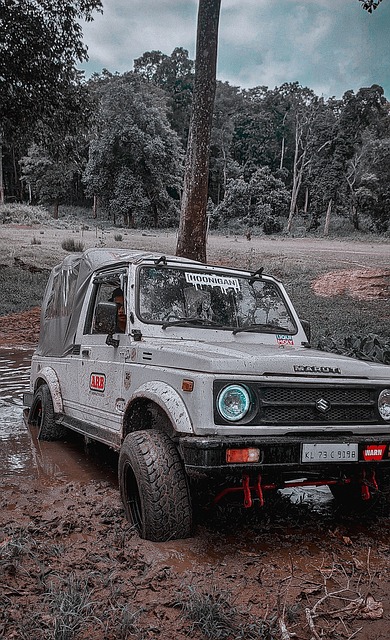 成新老交替 成新老交替