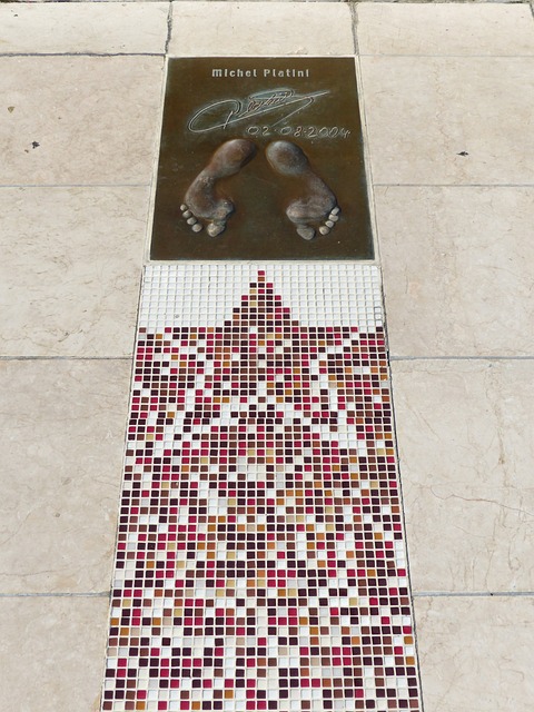 他们成功采 他们成功采